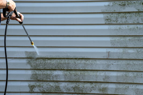 Affordable siding repair and maintenance services in Wilson, NC