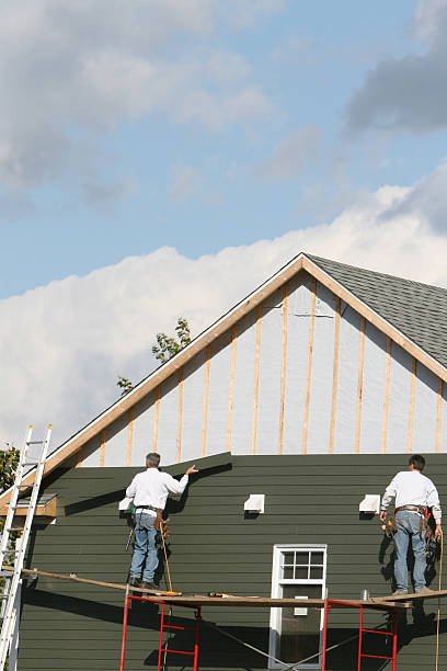 Best Steel Siding Installation  in Wilson, NC