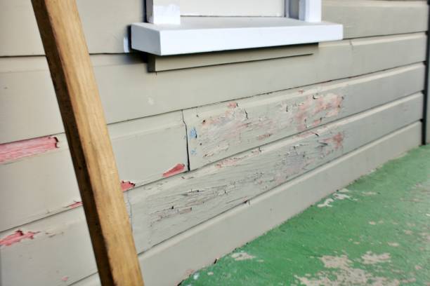 Best Engineered Wood Siding  in Wilson, NC